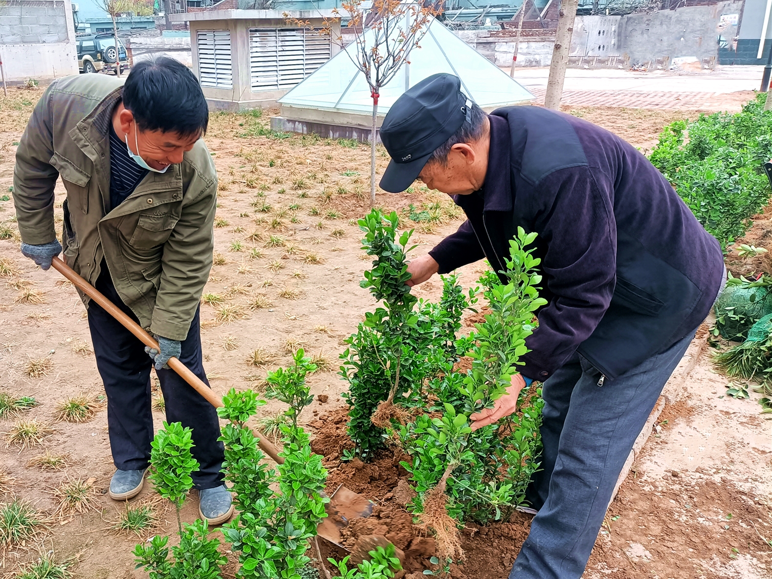 “綠色呼吁”——?？滴飿I(yè)植樹活動